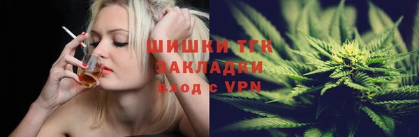 стафф Карпинск