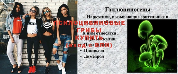 стафф Карпинск