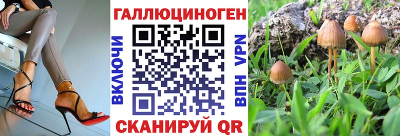купить сайты Таганрог Галлюциногенные грибы прущие грибы