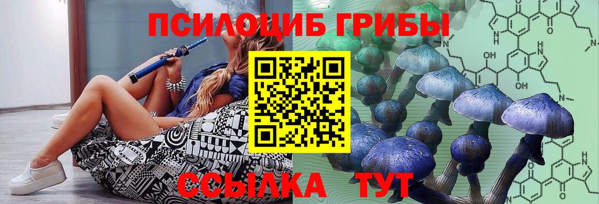 Псилоцибиновые грибы мухоморы Таганрог