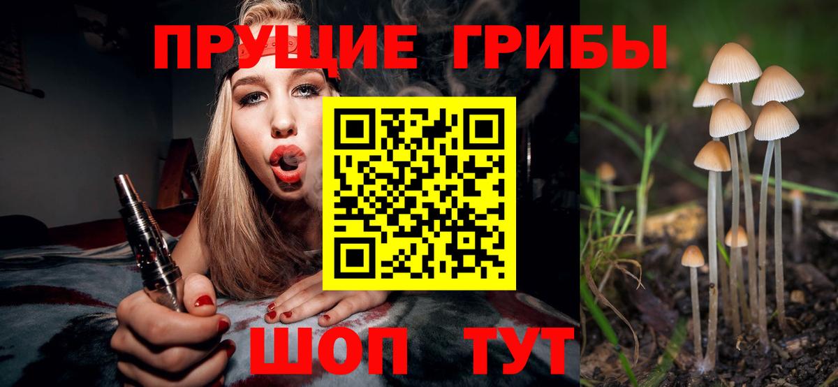 Таганрог  Галлюциногенные грибы MAGIC MUSHROOMS  Вход с VPN 